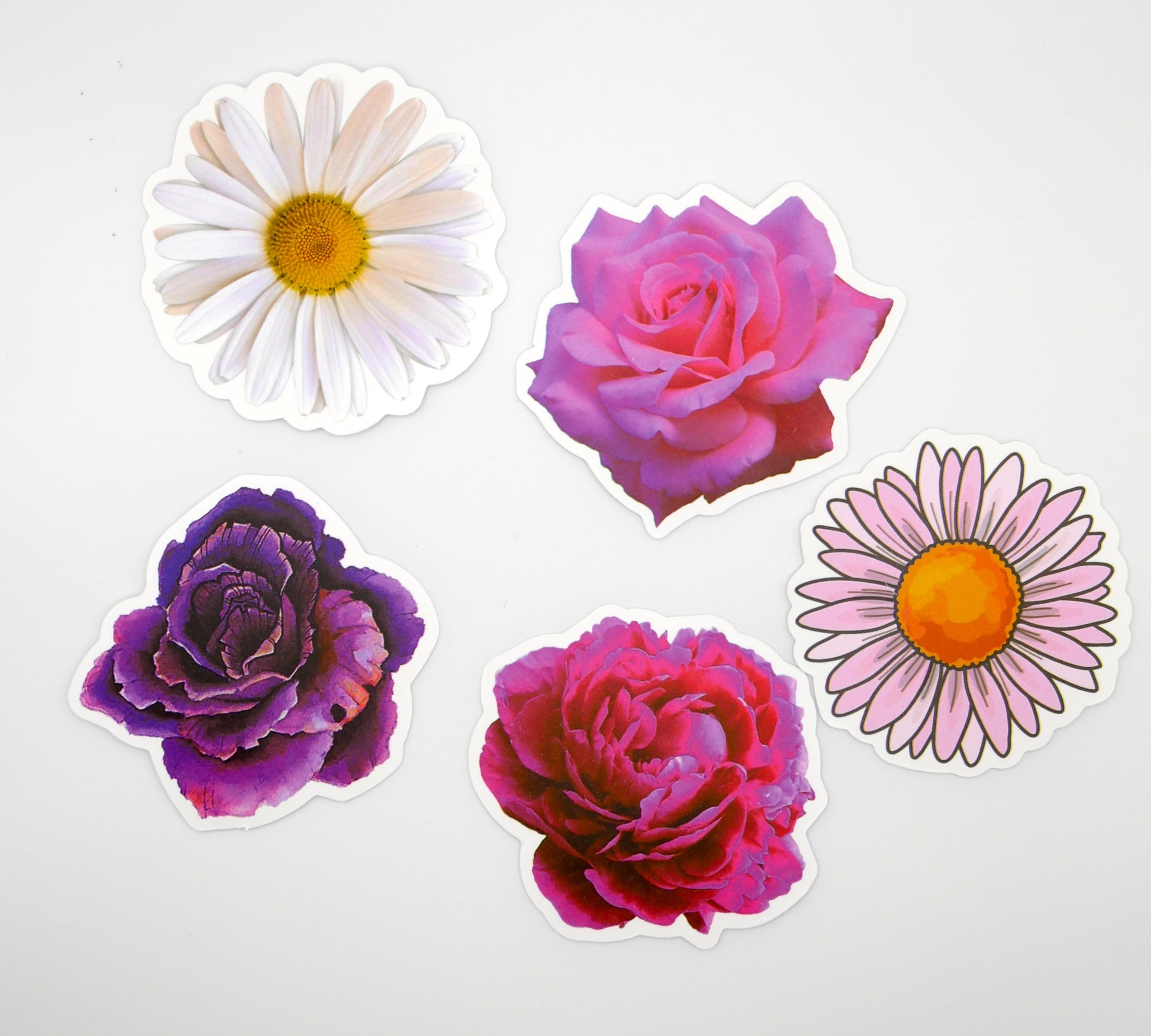 Floral, Cactus, and Mushroom Sticker Packs (Set of 10)